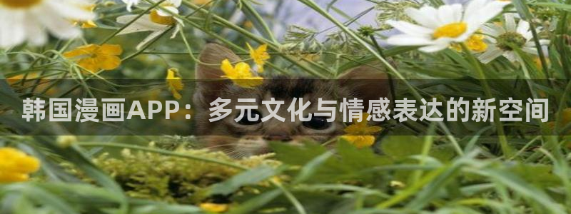歪歪漫画免费观看全集