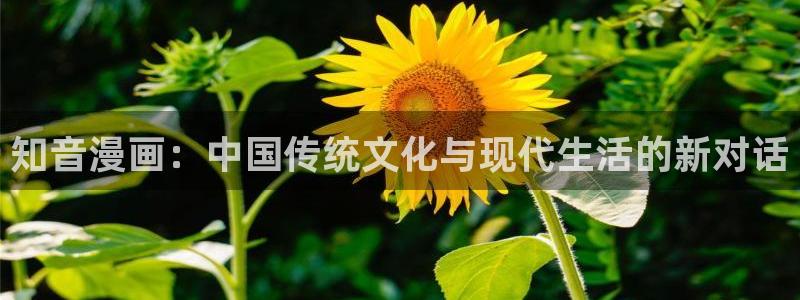韩国歪歪漫画网站