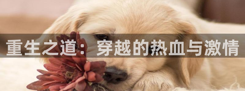 羞羞漫画歪歪漫画妖精动漫：重生之道：穿越的热血与激情