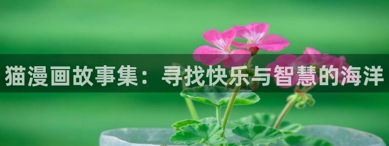 韩漫歪歪漫画：猫漫画故事集：寻找快乐与智慧的海洋