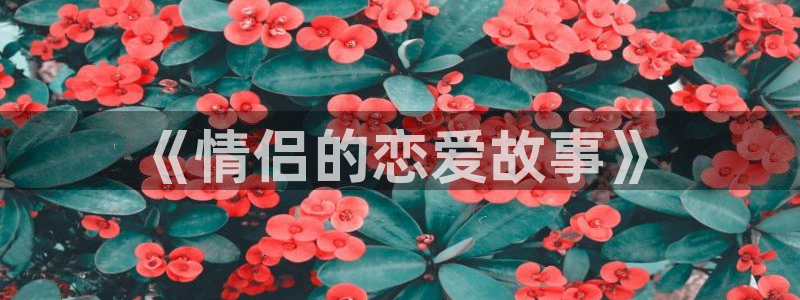 歪歪漫画免费入口在线看漫画：《情侣的恋爱故事》