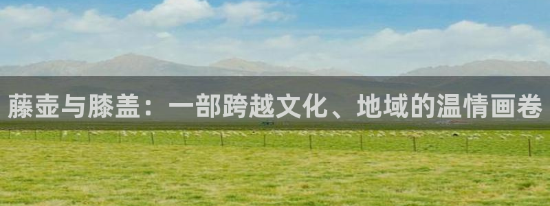 嘉定都市网歪歪漫画：藤壶与膝盖：一部跨越文化、地域的温情画卷