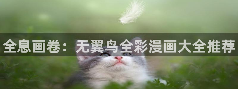 歪歪漫画平台网