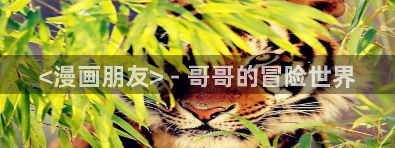 歪歪漫画网sss韩漫：<漫画朋友> - 哥哥的冒险世界