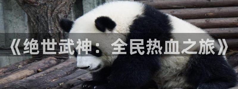 歪歪漫画入口网页 免费