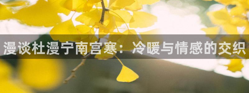 歪歪漫画首页在线观看：漫谈杜漫宁南宫寒：冷暖与情感的交织